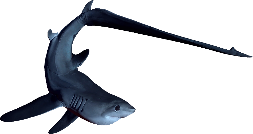 Thresher | Depth Wiki | Fandom