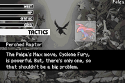 Perched Raptor
