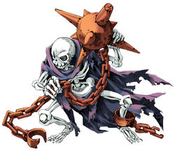 Skeleton