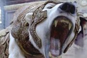 PanzerBär