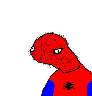 Spooderman | Derp Cat Wiki | Fandom