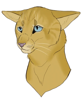 Wiki Des Guerriers De La Montagne Fandom