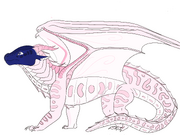 Axolotl