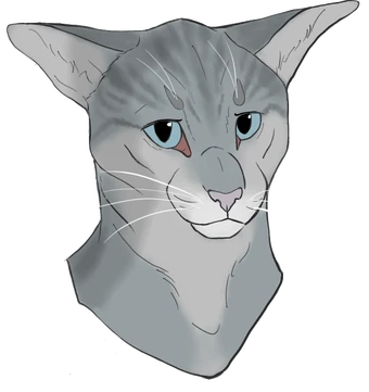 Wiki Des Guerriers De La Montagne Fandom