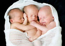 Triplets8