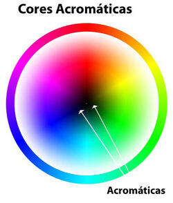 Disc
