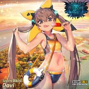 Sports Bikini Davi Banner