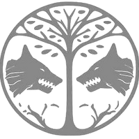 Iron Banner Destiny Wiki Fandom