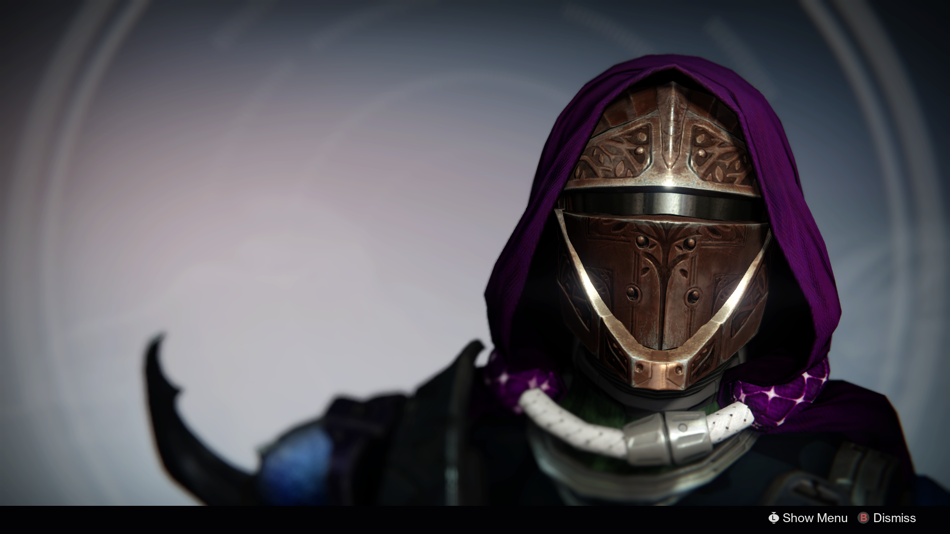 Iron Companion Mask | Destiny Wiki | Fandom