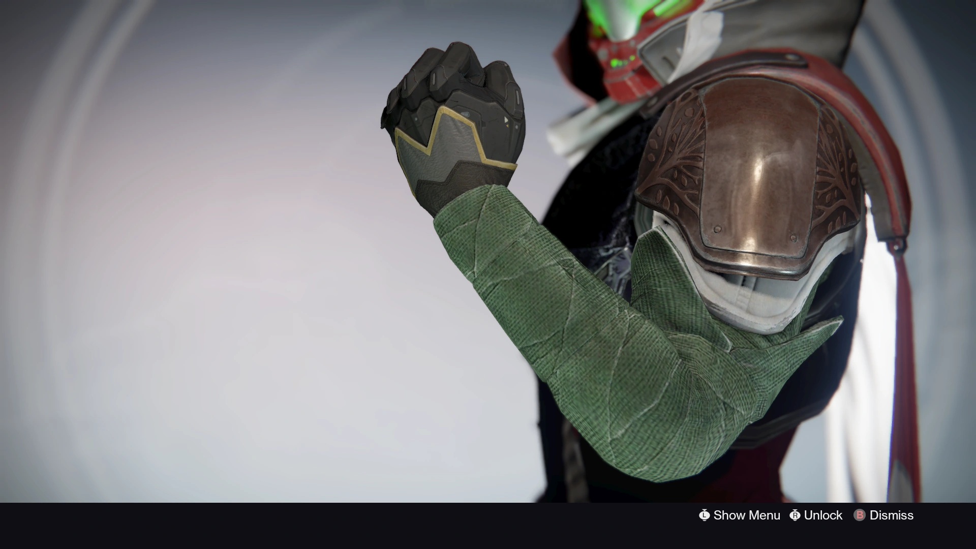 Iron Companion Sleeves Destiny Wiki FANDOM powered by Wikia