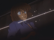 Shiho gin