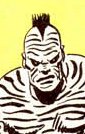 Zebra Man II
