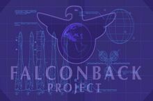 FalconBack layout