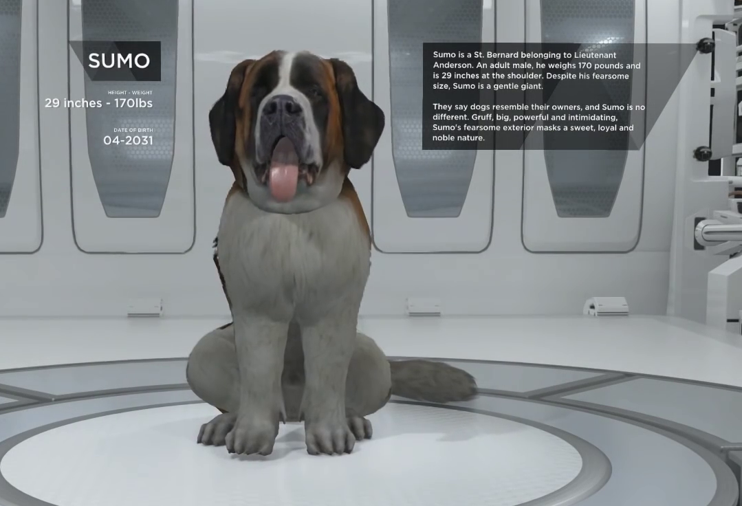 Detroit: Become Human Connor meets Hanks dog (Sumo) Different reaction 