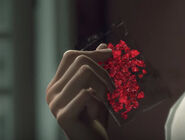 Red Ice