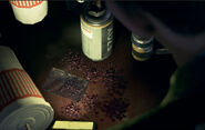 Red Ice at Ortiz's house