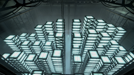 Palisade corporate vaults