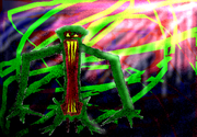 Set01Image03