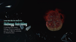 Nidhogg Hatchling