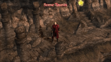 TauntDMC1