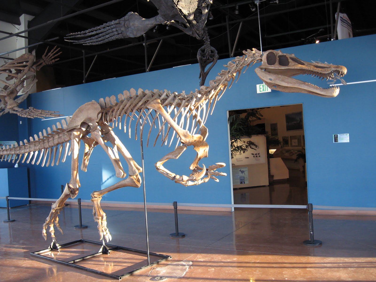 baryonyx and stegosaurus