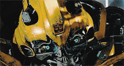 Bumblebee