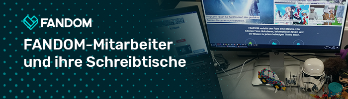 Schreibtischvorstellung