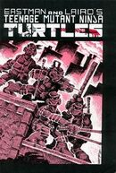 TMNT v1 1 01