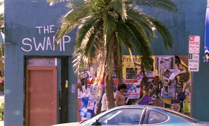 The Swamp