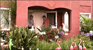 Zack Adelman's House