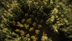 6x07 - Nebraska 197