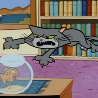 Cat Dexter S Laboratory Wiki Fandom