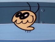 Timmy