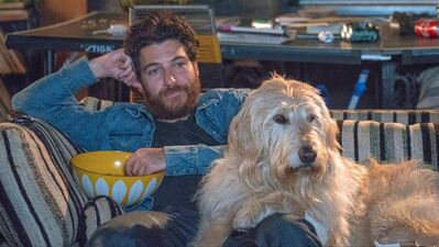 'Dog Days' Review: Canine Lovers Will Cry, Everyone Else Will Roll Their Eyes