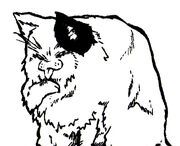 Katze 001 1