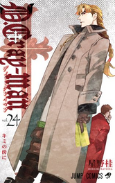 Volumen 24