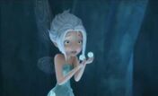Periwinkle image