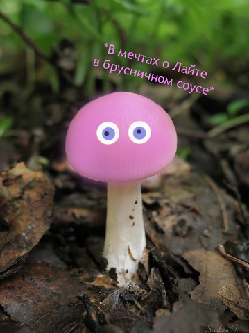 Файл:126e2b5fd336.png