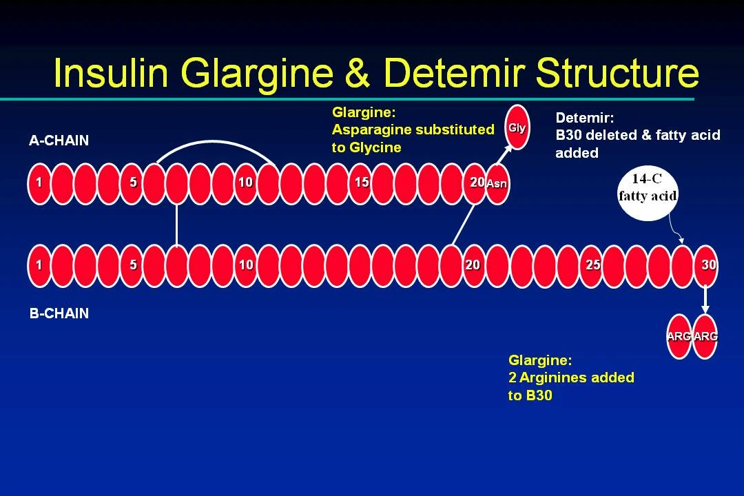 lantus insulin for dogs