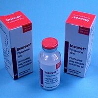 Insuvet Protamine Zinc Canine Diabetes Wiki Fandom