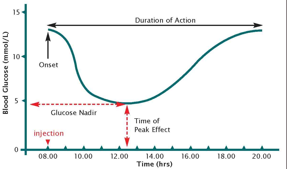 Insulin Onset Peak Duration Chart