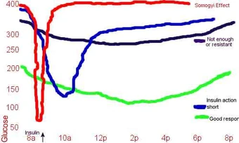 high blood glucose in dogs