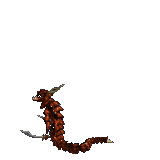 Cave Viper-2