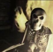 Skeleton-D2Intro2