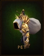 36 Best Photos How To Get Pets In Diablo 3 / How To Get The Book Of Cain Pet In Diablo 3 Season 22