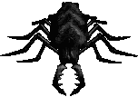 Rock Worm (Diablo II)