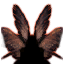Fiacla-Géar (Wings) icon