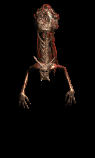 Putriddefiler