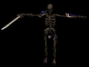 Diablo.3.classes.skeleton