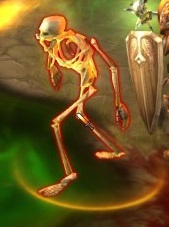 5 Funerus c